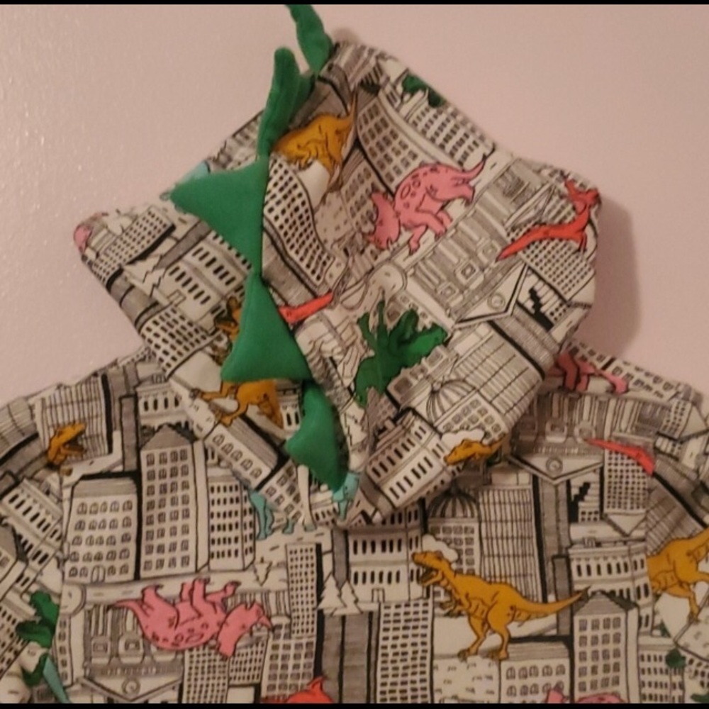 Cat and Jack girls dinosaur hoodie